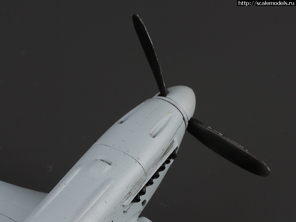 1365625966_IMG_6664.jpg : ����������� ��. �����������. 1/72. ������� ����