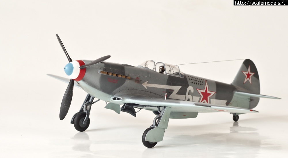 1365627764_DSC_5523a.jpg :   . . 1/48.  