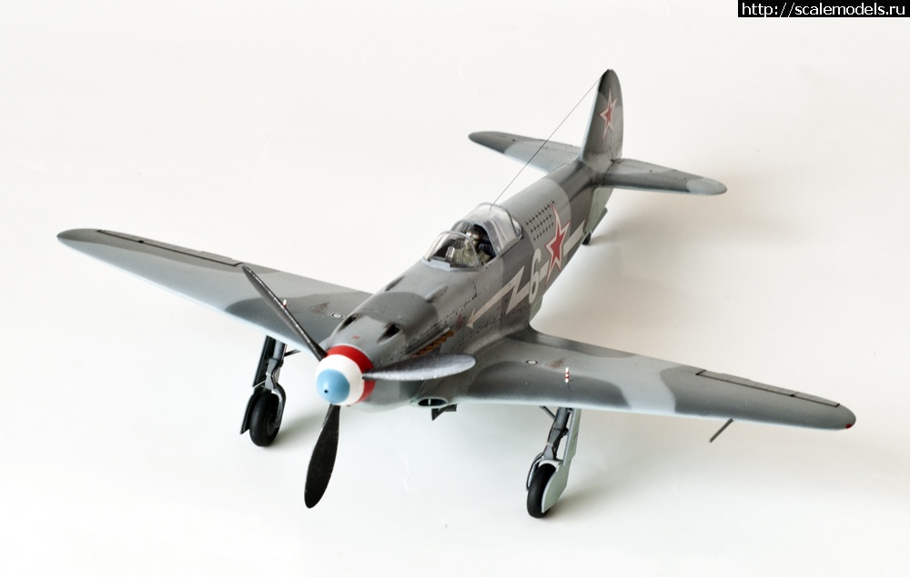 1365627771_DSC_5533a.jpg :   . . 1/48.  