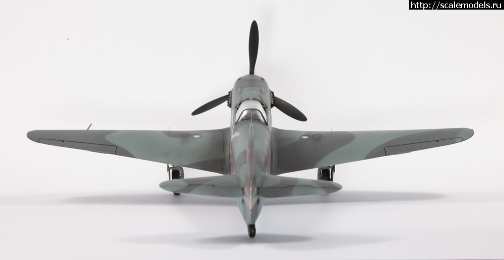 1365627894_DPP_0011-2.jpg : ������ �� ����. �����. 1/48. ������� ����