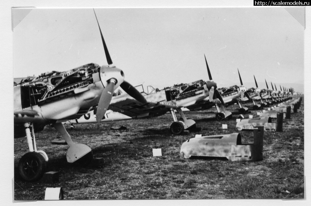 1366141321_T2eC16h0E9s37IeEoBRRI7vnh560_10.jpg :    eBay     