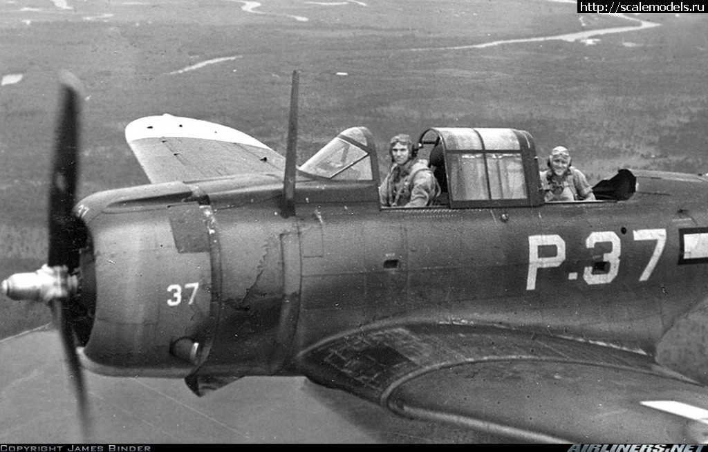 1366199823_1859453-1.jpg :  NS insignia white FS37875  SBD-4 Dauntless  