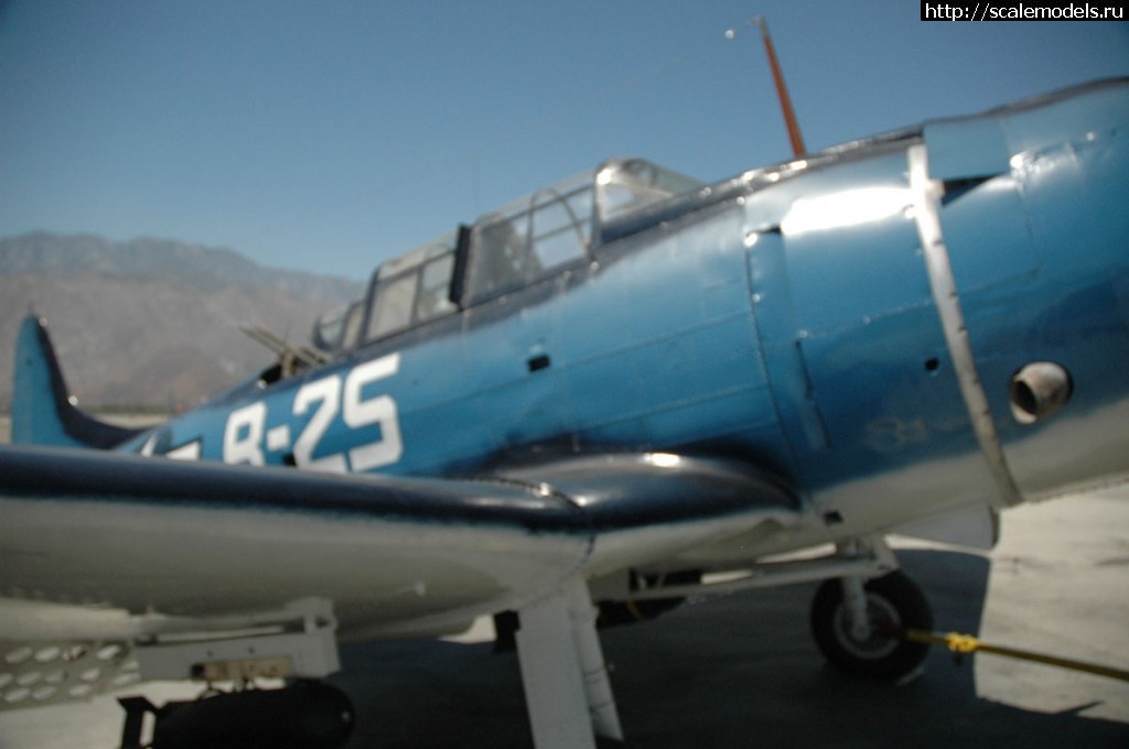 1366200169_sbd-5_043.jpg :  NS insignia white FS37875  SBD-4 Dauntless  