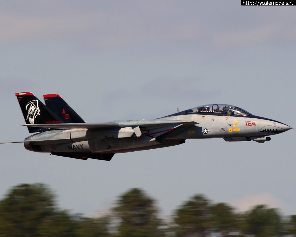 1366281073_Grim-Reaper3.jpg : #852749/ hasegawa 1/72 F-14D     -  !!!  