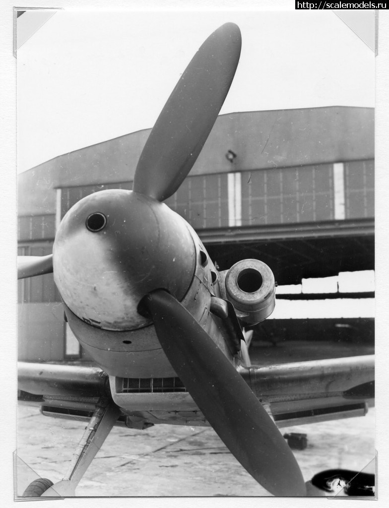 1368915305_KGrHqVlsFGBsoedwBRl4cR3-g60_10.jpg : #865635/    eBay     