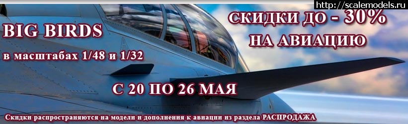 1369043951_banner_107_big-birds-2013.jpg :  ������� ����