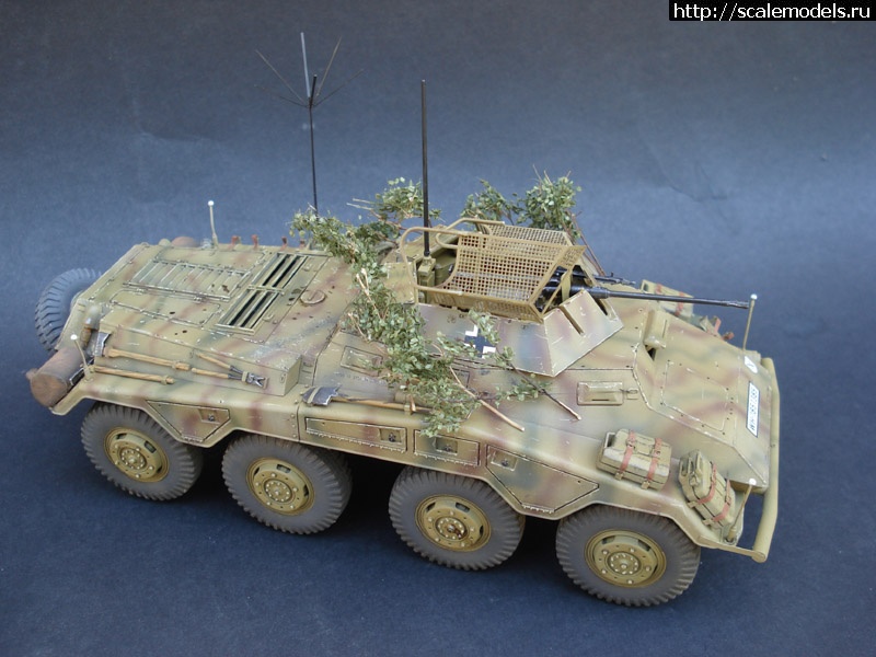 1369330222_DSC06207.jpg : #867764/   IX  