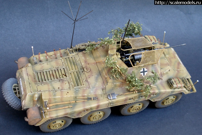 1369330235_DSC06218.jpg : #867764/   IX  