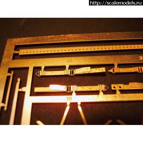 1370951699_p8290029-500x500.jpg :   