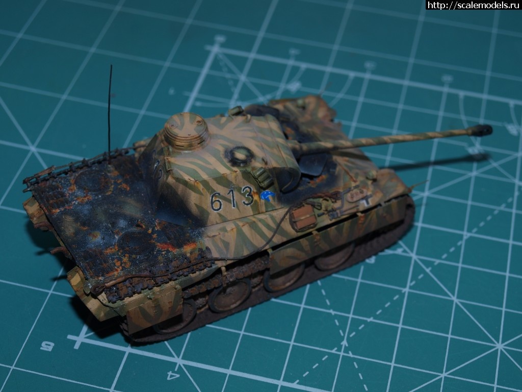 1371124868_P6135672.jpg : #876029/ ������� �-V �� "������"    ������� �����  ���� � 6 ������� ����