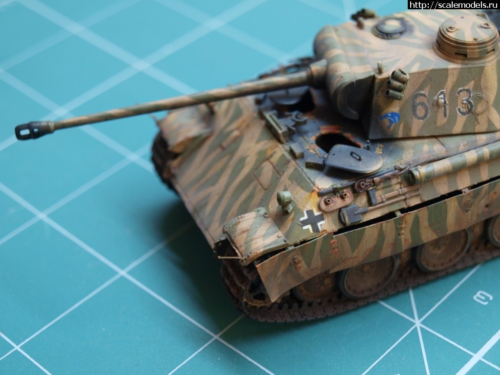 1371124873_P6135682.jpg : #876029/ ������� �-V �� "������"    ������� �����  ���� � 6 ������� ����