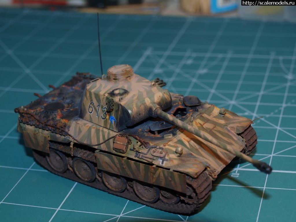 1371124893_P6135727.jpg : #876029/ ������� �-V �� "������"    ������� �����  ���� � 6 ������� ����