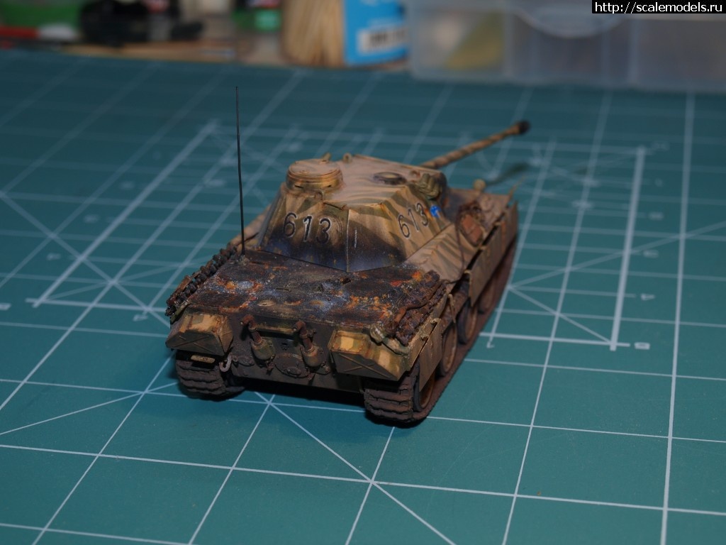 1371124905_P6135737.jpg : #876029/ ������� �-V �� "������"    ������� �����  ���� � 6 ������� ����