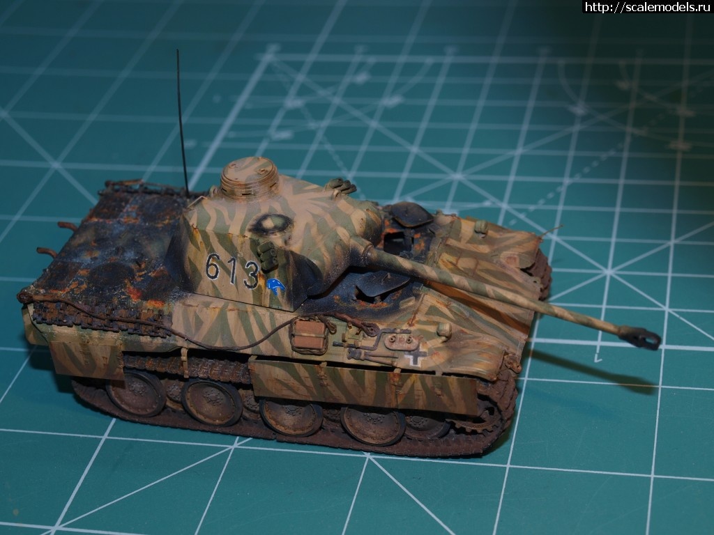 1371124911_P6135746.jpg : #876029/ ������� �-V �� "������"    ������� �����  ���� � 6 ������� ����