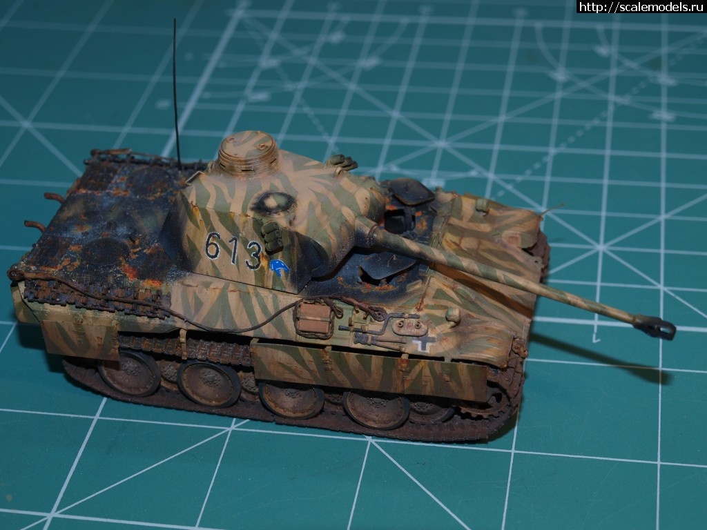 1371124914_P6135747.jpg : #876029/ ������� �-V �� "������"    ������� �����  ���� � 6 ������� ����