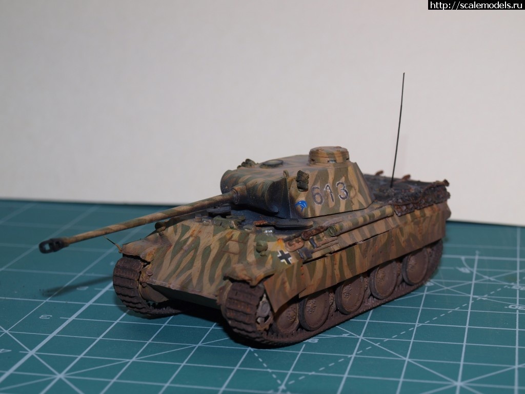 1371128029_P6135760.jpg : #876029/ ������� �-V �� "������"    ������� �����  ���� � 6 ������� ����