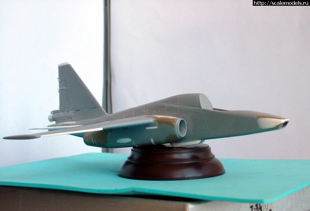 1371298536_4393.jpg : #876797/ -39 1:72  -  :))  