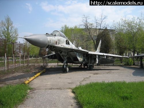 1371417445_IMG_1255.jpg : #877336/ ��������� ���-29, ��� ����. ������� ����