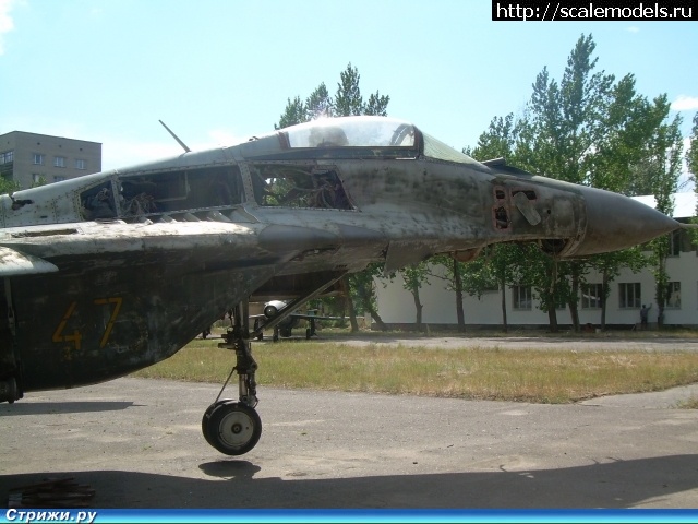 1371495442_DSCN2032.jpg : #877701/ ��������� ���-29, ��� ����. ������� ����