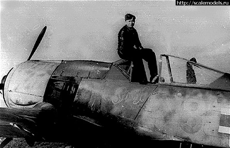 1371587787_Focke-Wulf-Fw-190A8-5.jpg : #878218/ FW190A-8/A-8 R2  Tamiya 1/48 (andrey_ya/Rowdy) []  