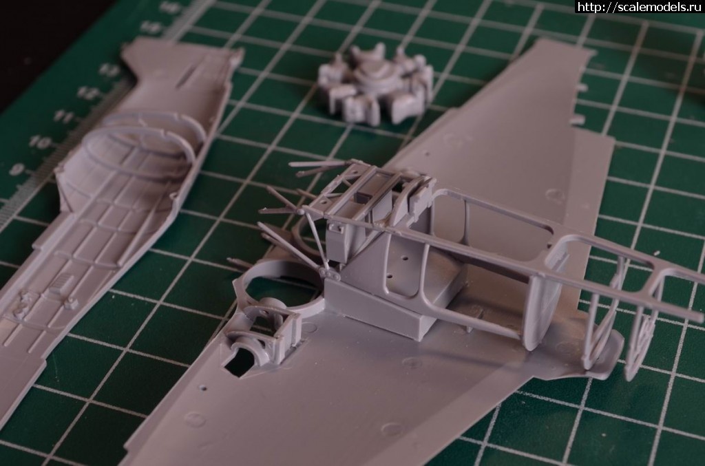 1371737559_3.jpg : -5 1/48 - . .   