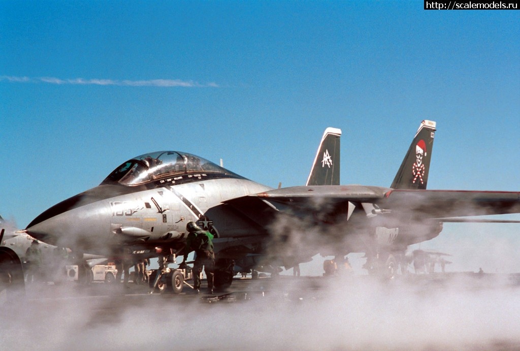 1375469186_F-14D_Tomcat_VF-103_dubbed_Christmas_Bird.jpg : #895352/ Hasegawa 1/72 F-14B Tomcat Jolly Rogers  