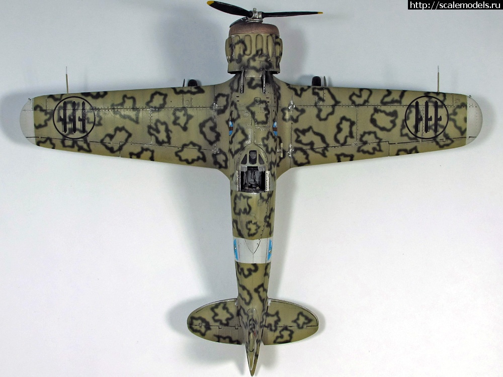 1376832822_009.jpg :  " ". , 1/48  