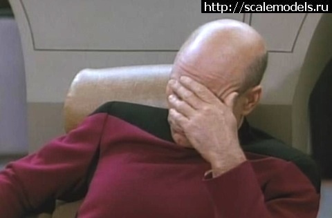 1377365254_Picard-facepalm.jpg : #904418/ ������� Amodel 1/72 ��-24� - ��������...(#3795) - ���������� ������� ����