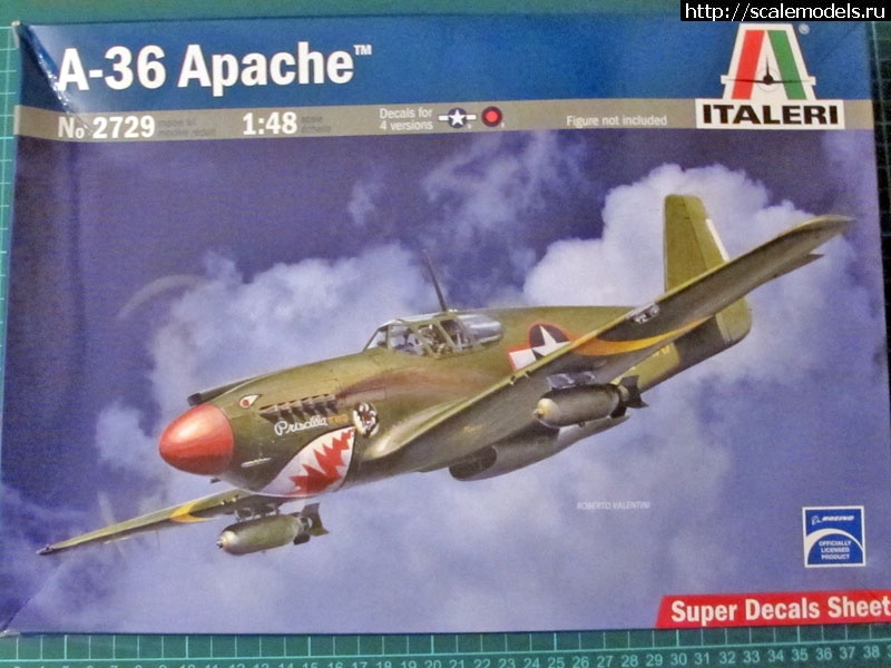 1377710357_001.jpg : 1/48 Italeri / Accurate Miniatures A-36 Invader  