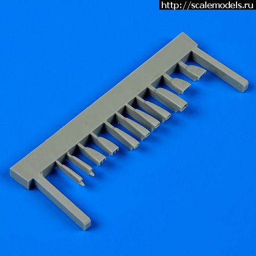 1379684997_72423.jpg :   