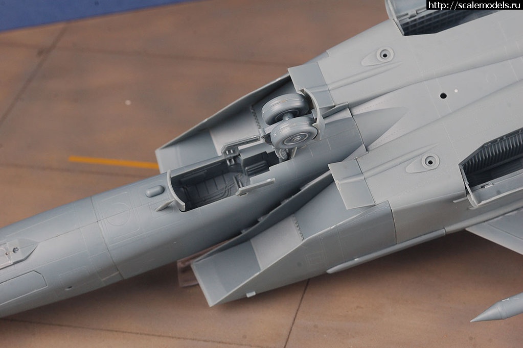 1380352180_MiG-25_24.jpg :   