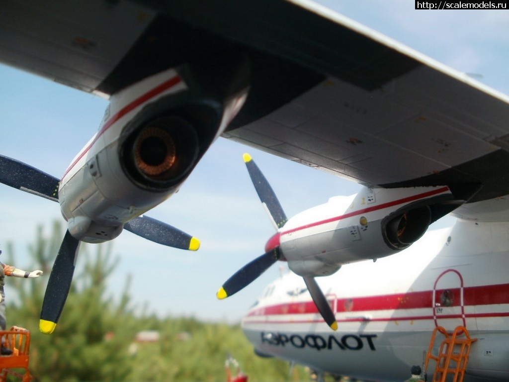 1381168722_P8100057_rrrsr-srrrrs_rrrsr-srrrrs.jpg : #921733/  -12    .1:72  