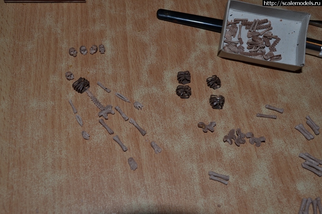 1381747909_DSC_1067.jpg :   )  