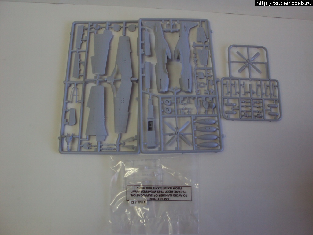 1382302287_DSC00570_rrrsr-srrrrs.jpg : #927764/ P/F-82 Twin Mustang () 1:72 -    