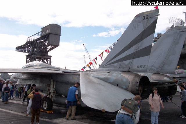 1382515575_f14dkittybg_29.jpg : #928984/ Italeri 1/48 F-14A Tomcat Jolly Rogers(#6731) -   