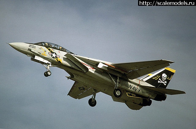 1382628015_c0d797b8.jpg : #929457/ Italeri 1/48 F-14A Tomcat Jolly Rogers(#6731) -   