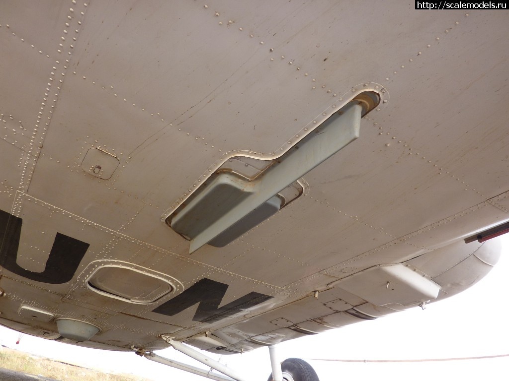 1384533692_P1060366.jpg : #938825/ Walkaround ��-8���-3 - ����� �����(#6794) - ���������� ������� ����