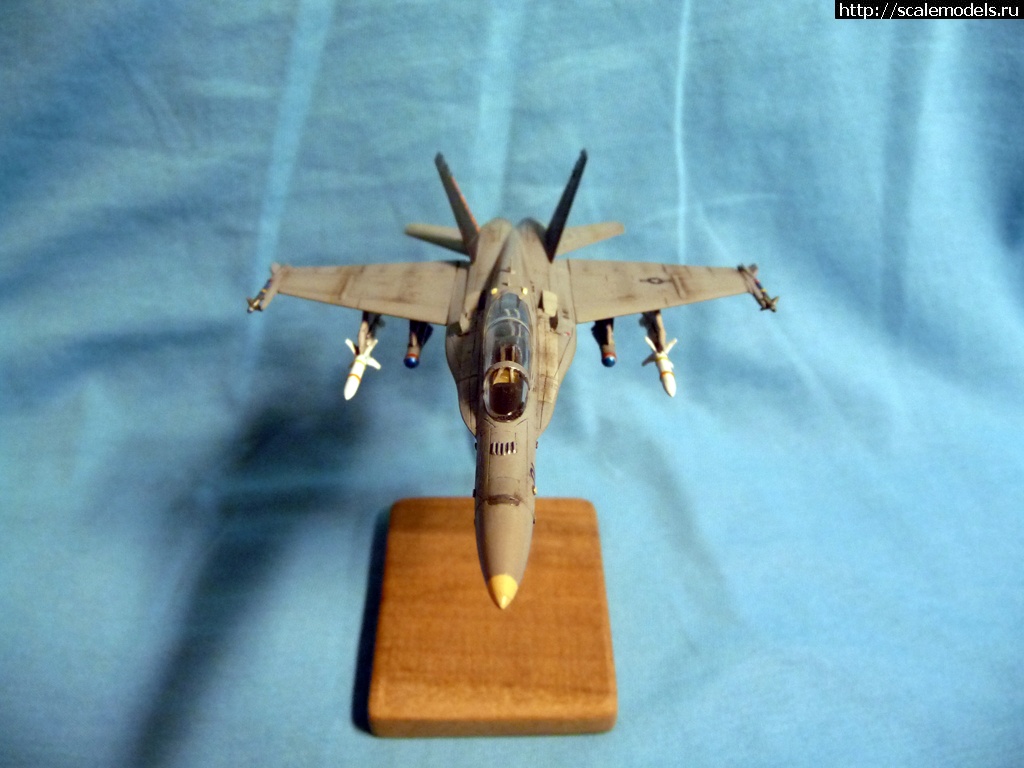 1386608021_P1090748.jpg : F/A-18D Revell 1/144  