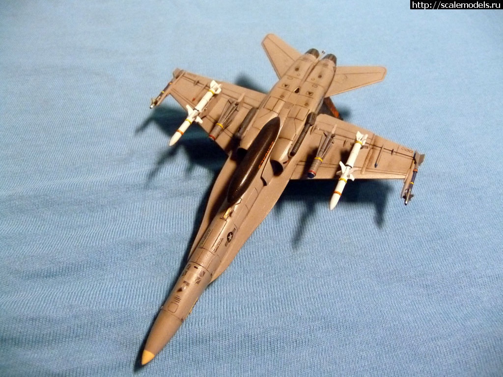 1386608043_P1090752.jpg : F/A-18D Revell 1/144  