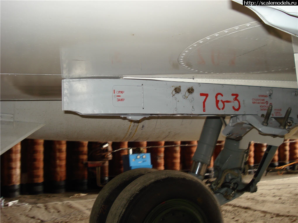 1387921746_rrrrsrrrrrjor-319.jpg : #956570/ -24 -     