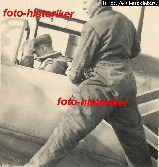 1388943529_1604412.jpg : #961149/   ̸.  