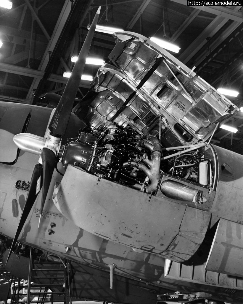 1455898833_1455472899_C-46_16.jpg : #1228509/ -46 Commando -    