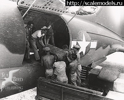 1455898993_1455473050_14.jpg : #1228509/ -46 Commando -    