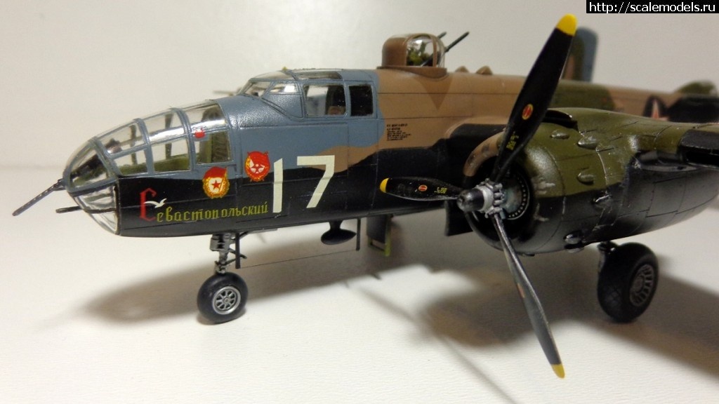 1456160273_DSC00356.jpg : #1229422/     -25  