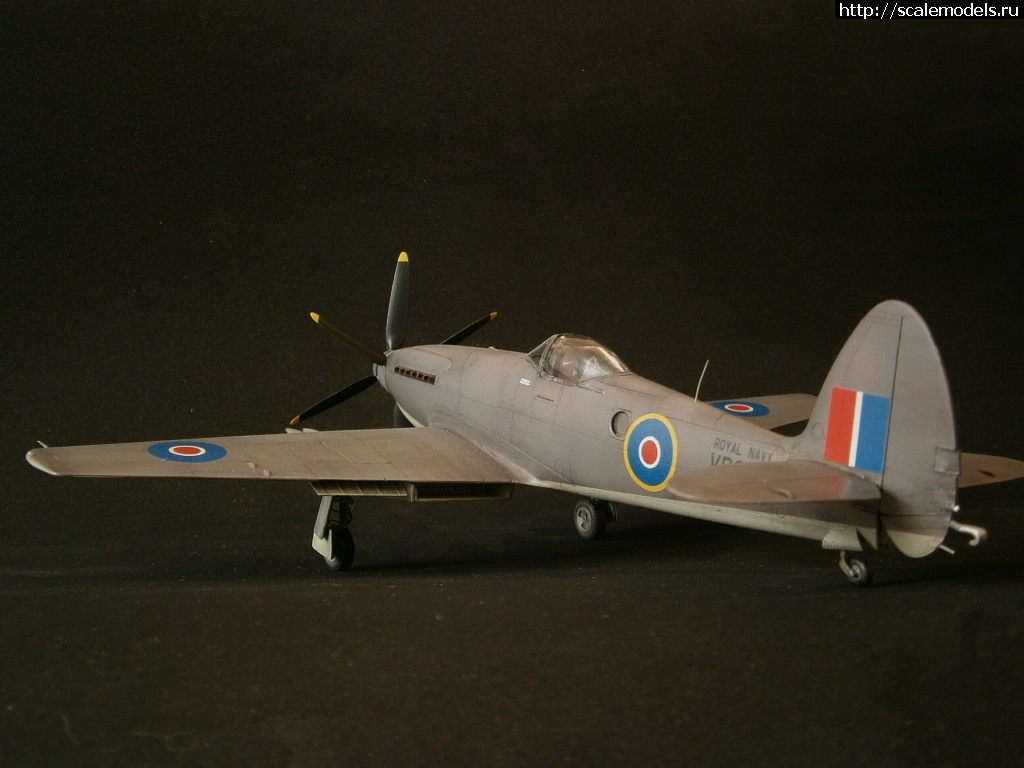 1456649228_8.jpg : #1231698/ 1/48 Trumpeter Supermarine Seafang F.MK.32 (  !)  