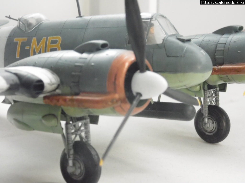 1456734214_SAM_0698.jpg : #1232117/  "  ":  1/48    