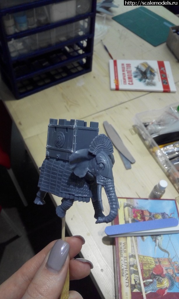 1457209266_IMG_20160305_182047.jpg : #1234396/ 1/72 ������ "������ �����" (������) ������� ����