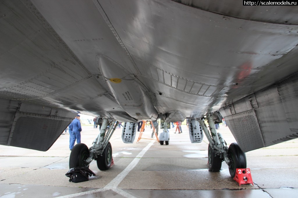 1466690010_IMG_8452.jpg : #1272331/ AMK 1/48 ���-31�� ���� �38 ������� �...(#10073) - ���������� ������� ����