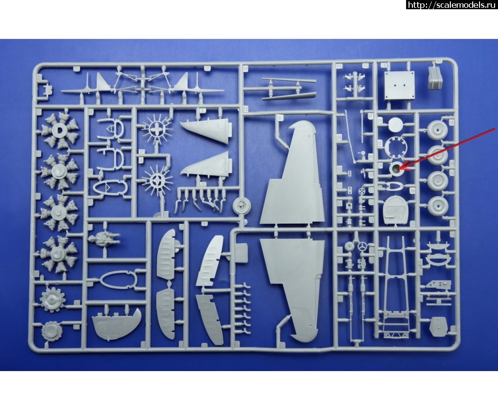 1469112399_1183_03.jpg :    -5 1/48   