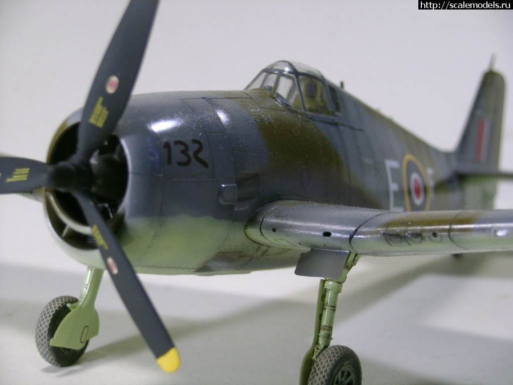 1470182263_DSC03050.jpg :   1/48  -   